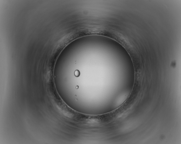 X0000093090741200709261228