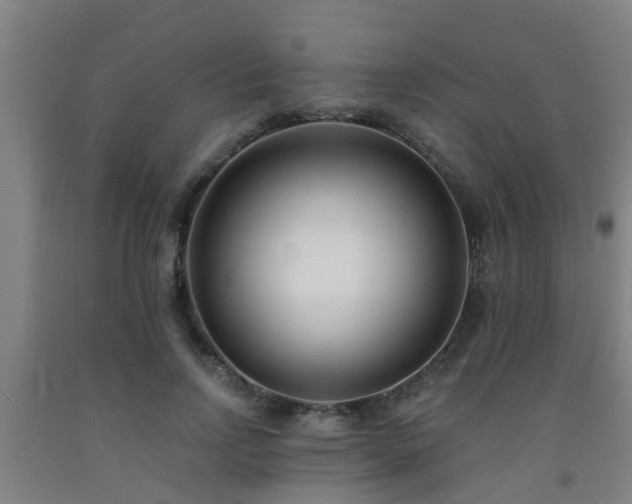 X0000093090742200709261228