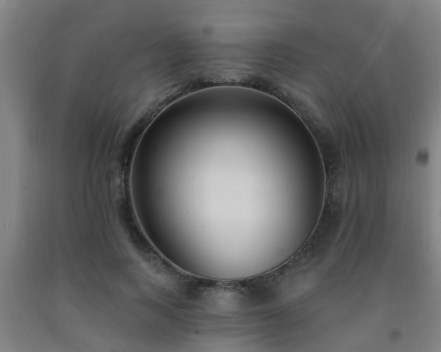 X0000093090743200709261228