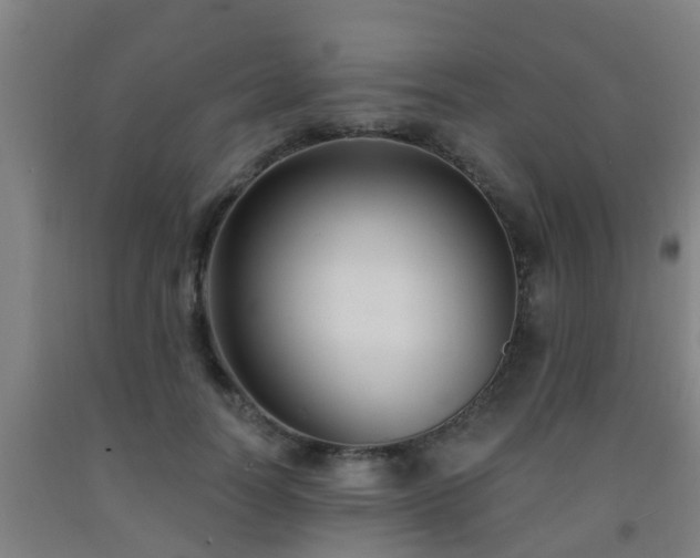 X0000093090746200709261228
