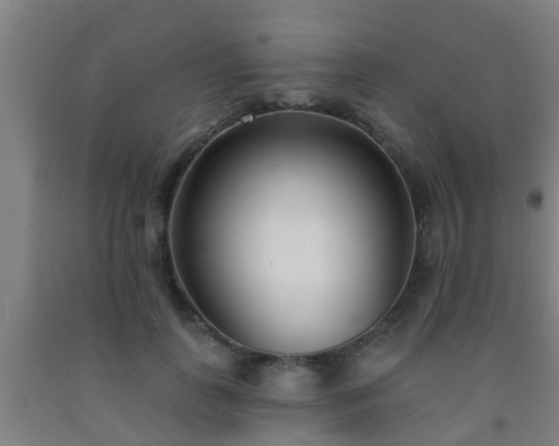 X0000093090747200709261229