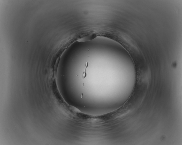 X0000093090748200709261229