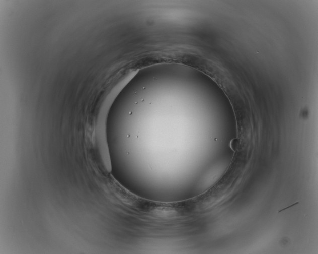 X0000093090749200709261229