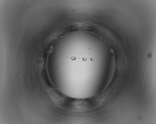 X0000093090752200709261229
