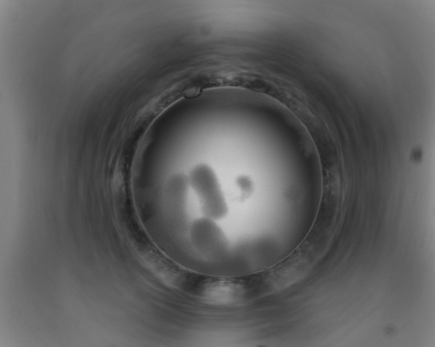 X0000093090754200709261229