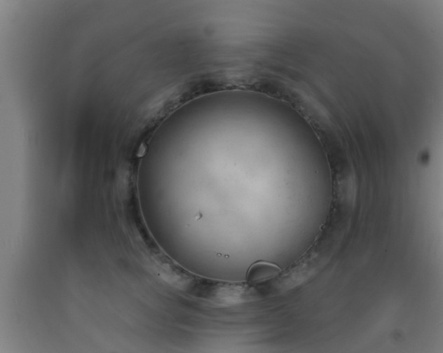 X0000093090757200709261229