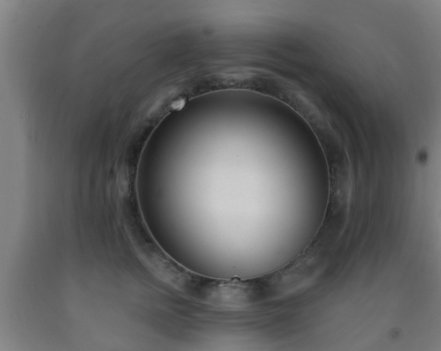 X0000093090758200709261229
