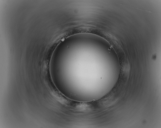 X0000093090759200709261229