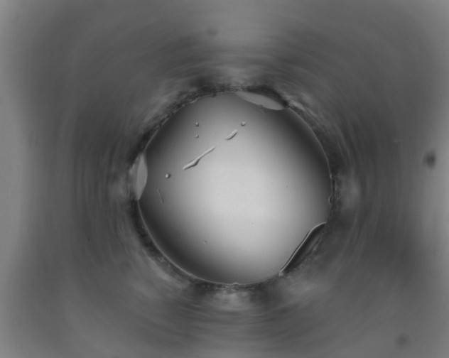 X0000093090760200709261229