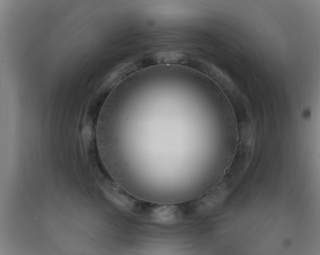 X0000093090761200709261229