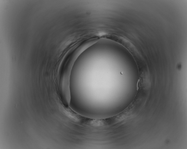 X0000093090762200709261229