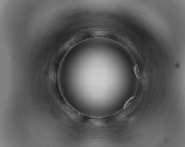 X0000093090763200709261229