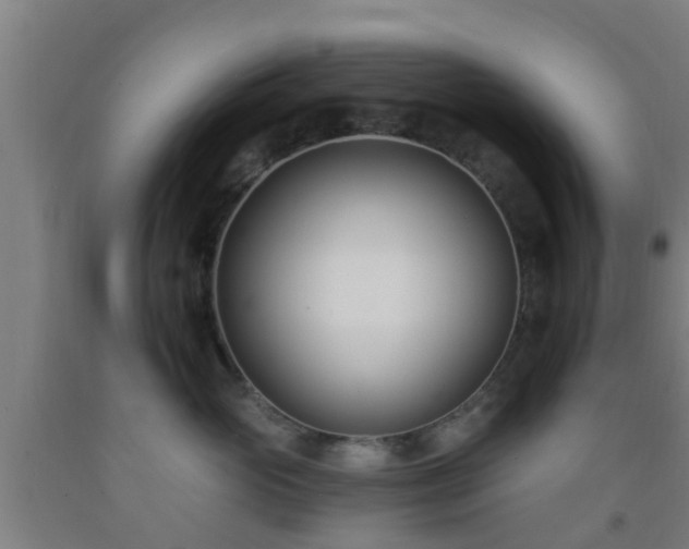 X0000093090765200709261229