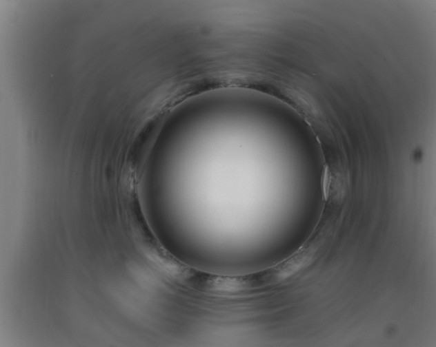 X0000093090766200709261229