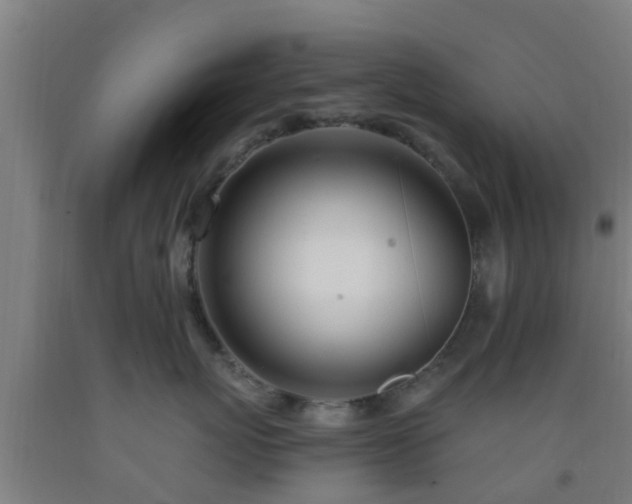 X0000093090767200709261229