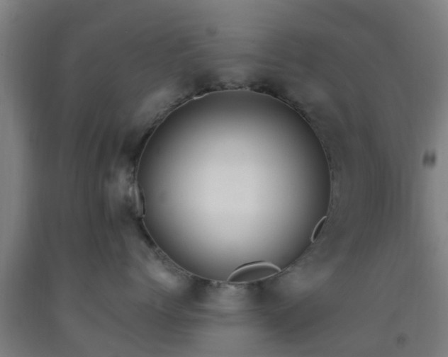 X0000093090768200709261229