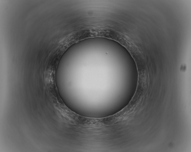 X0000093090770200709261228