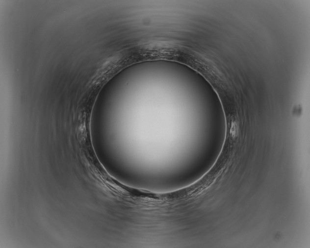 X0000093090771200709261228