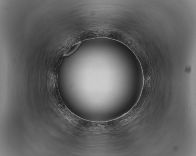 X0000093090772200709261228