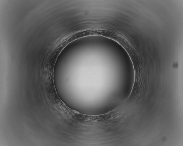 X0000093090773200709261228