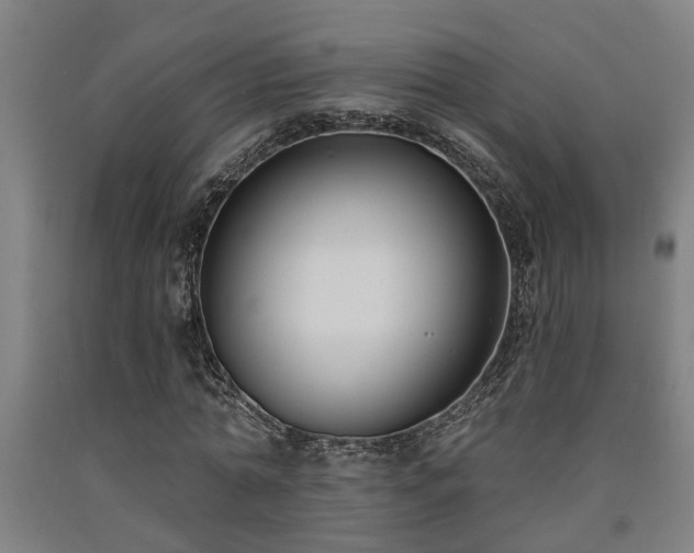 X0000093090774200709261228