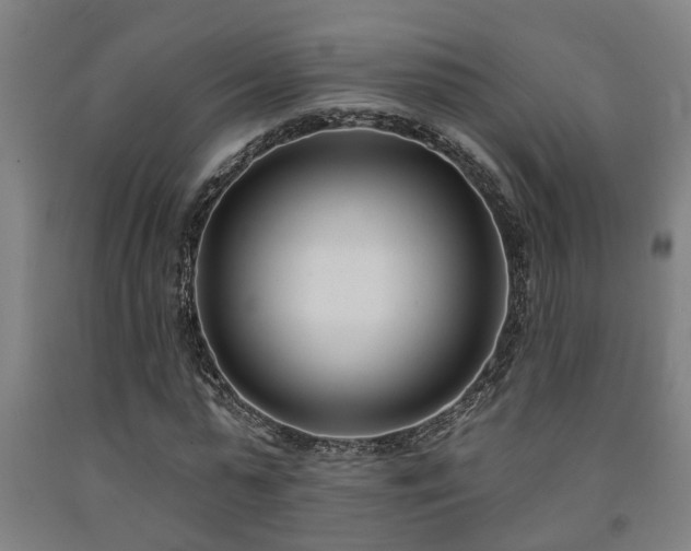 X0000093090775200709261228