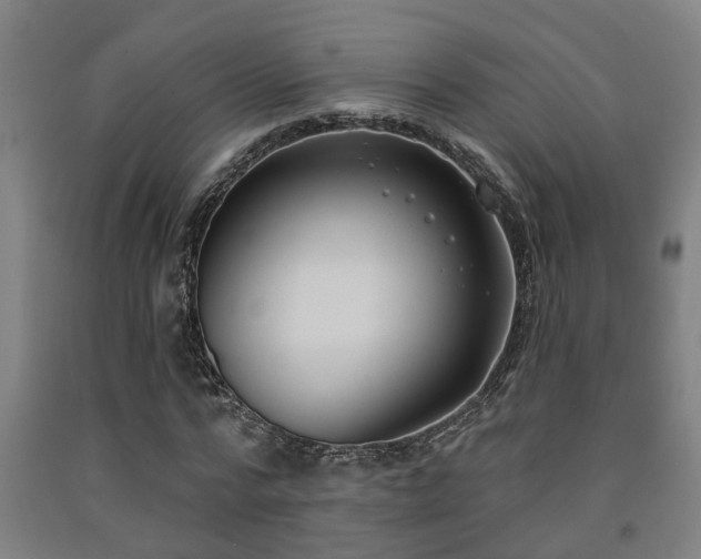 X0000093090776200709261228