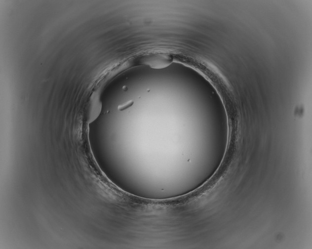 X0000093090777200709261228