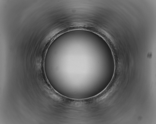 X0000093090778200709261228