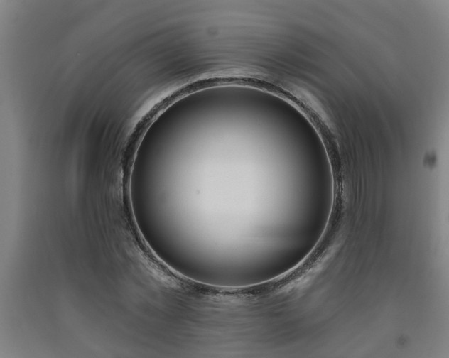 X0000093090781200709261228
