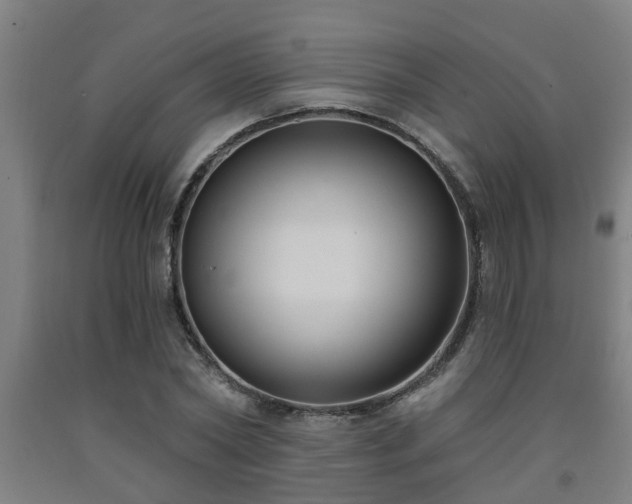 X0000093090782200709261228