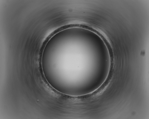 X0000093090783200709261228