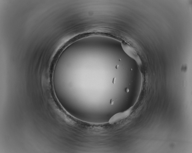 X0000093090784200709261228