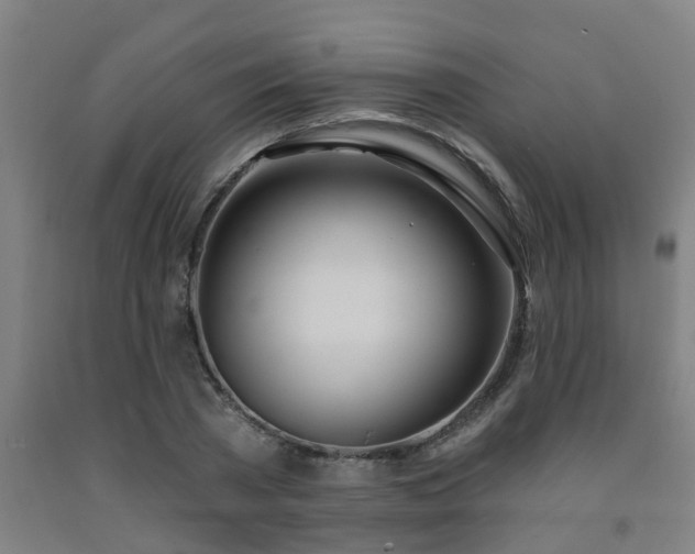 X0000093090785200709261228