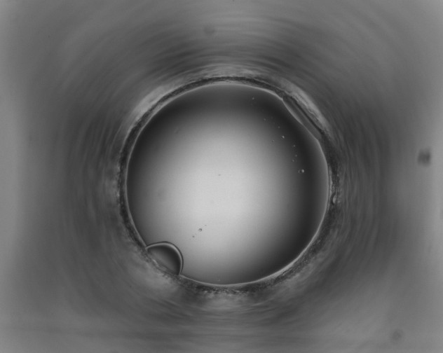 X0000093090786200709261228