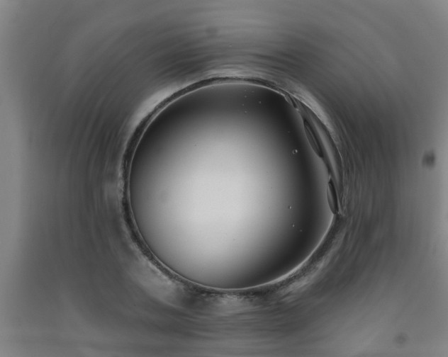 X0000093090787200709261228