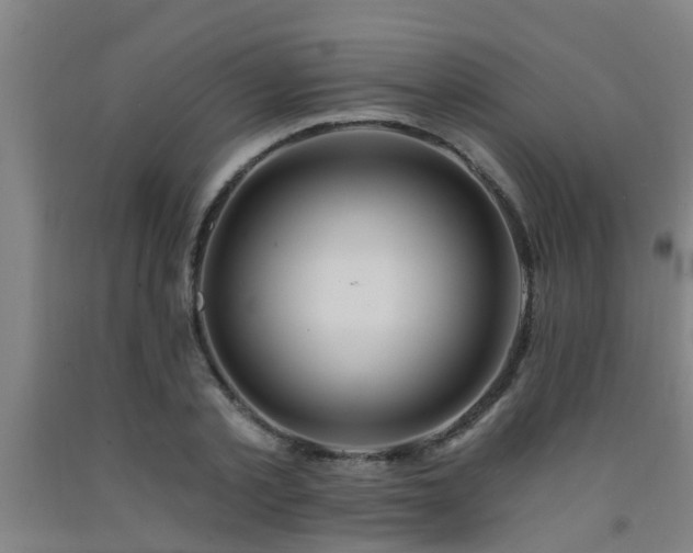 X0000093090789200709261228