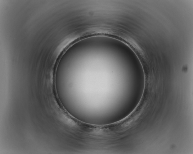 X0000093090790200709261228