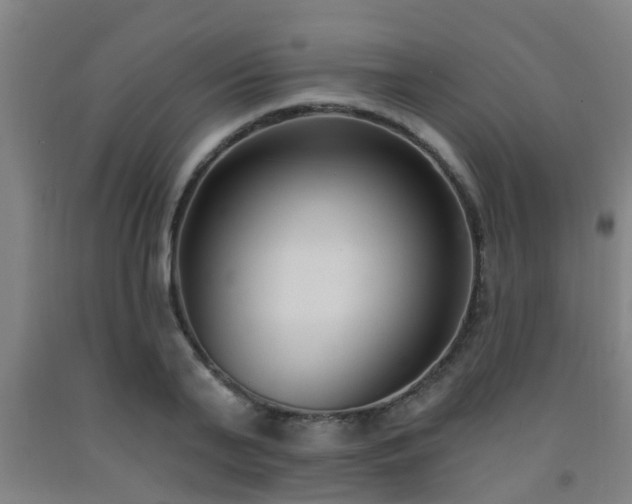 X0000093090791200709261228