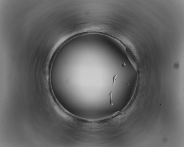 X0000093090792200709261228