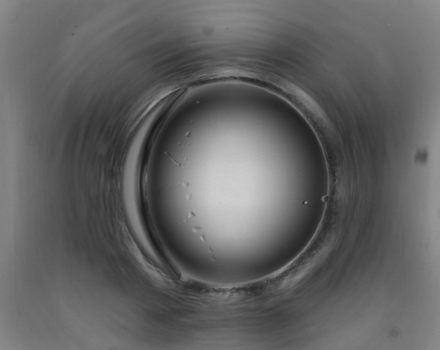 X0000093090793200709261228