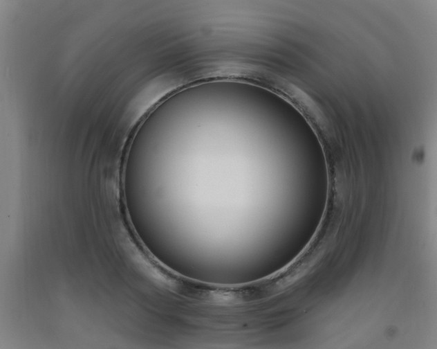 X0000093090794200709261228