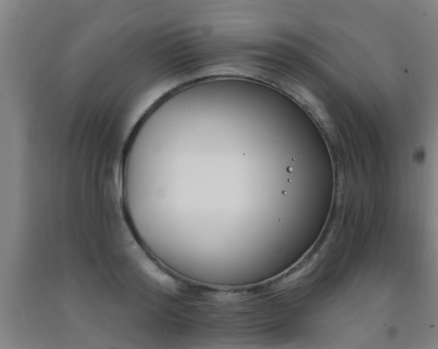 X0000093090796200709261228