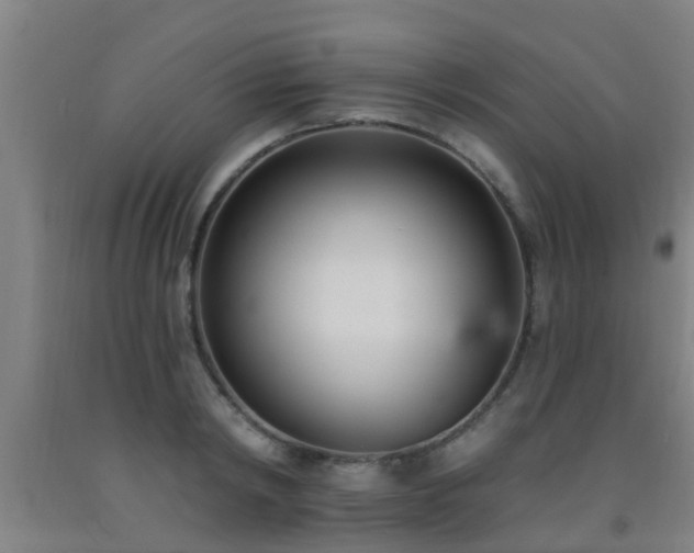 X0000093090798200709261228