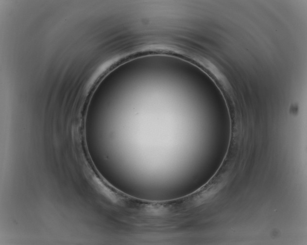 X0000093090799200709261228
