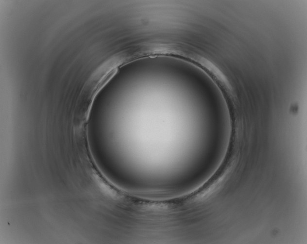 X0000093090801200709261228