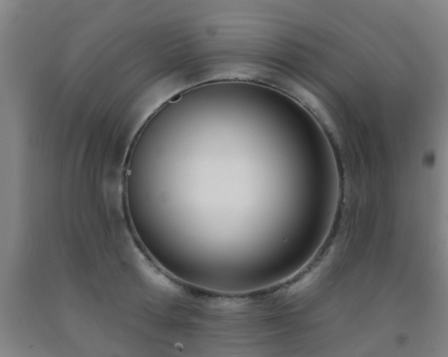 X0000093090802200709261228