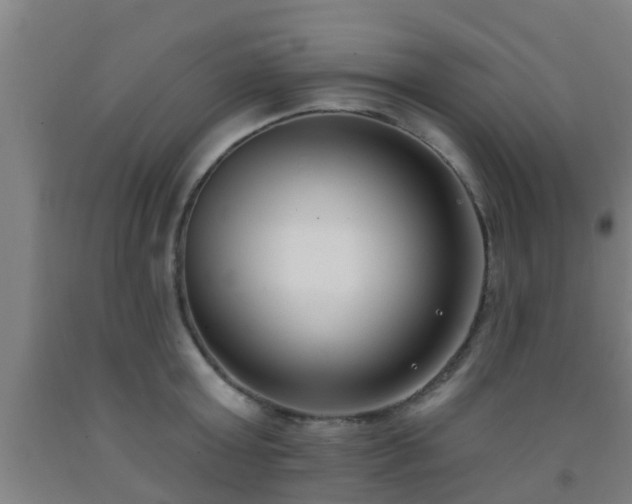 X0000093090803200709261228