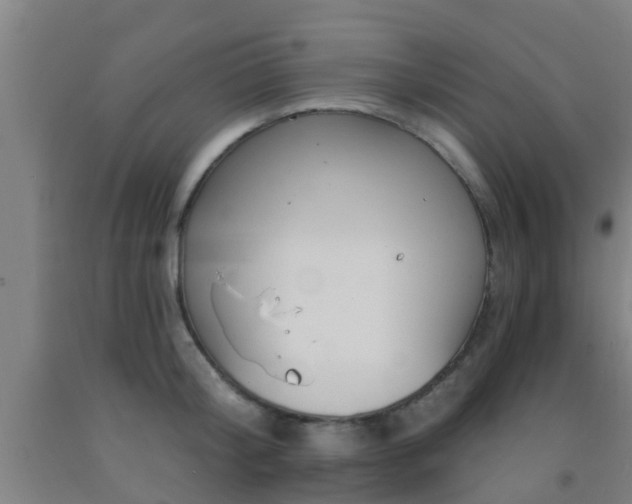 X0000093090804200709261228