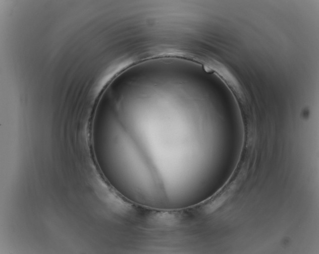 X0000093090806200709261228
